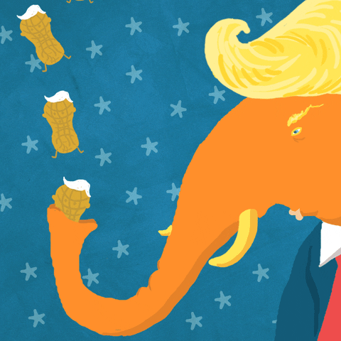 Donald Trump Politics GIF by Mighty Oak