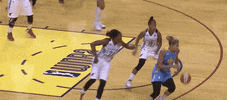 chicago sky basketball GIF by Indiana Fever