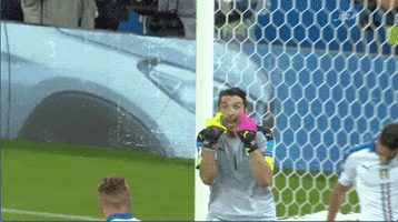 euro 2016 pay attention GIF by Sporza