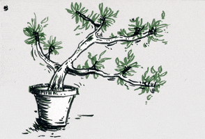 mediumtedium tree plants GIF