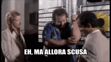 cinepanettoni bud spencer cinepanettoni.it cinepanettoni pari e dispari GIF