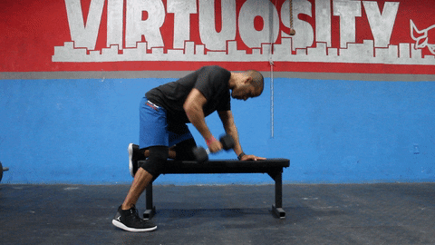 Dumbbell Single Arm Rows GIFs - Get the best GIF on GIPHY