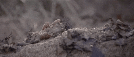 200.gif?cid=fc005b085055eef33d86eefe62fc1656d8f728ab54c0b251&rid=200.gif&ct=g