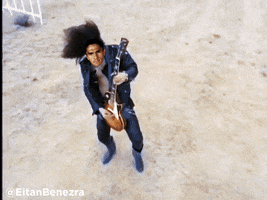 krynowek  GIF