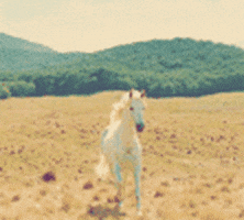 rockosaur aaaaaaaaaaaa GIF