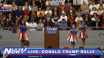 alfredwkng donald trump rally GIF