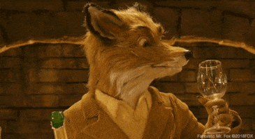 Wes Anderson Animation GIF by 20th Century Fox Home Entertainment