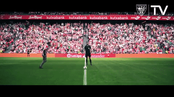 Pelotari Asegarce GIF