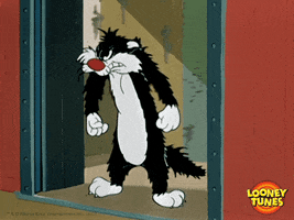 TV gif. Sylvester the Cat from Looney Tunes stands in the entrance of an elevator balling his fists up and scowling. His fur is frazzled and smoke rises off of him like he was just electrocuted.