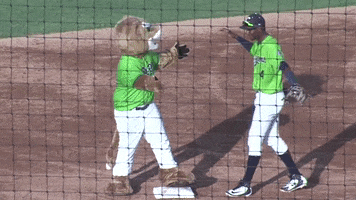 Gocougs Hug It Out GIF by Kane County Cougars