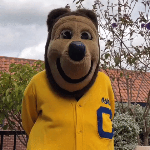 Uc Berkeley What GIF by Cal
