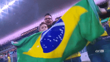 Selecao Brasileira Soccer Fans GIF by Confederação Brasileira de Futebol