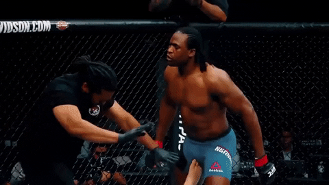 giphy.gif