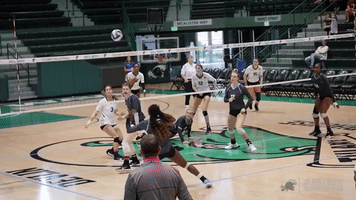 athletics volleyball GIF by GreenWave