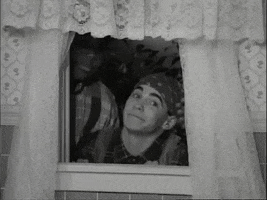 200.gif?cid=fc005b089f136f64532ea4d5316711a2a29453ef6639033e&rid=200.gif&ct=g
