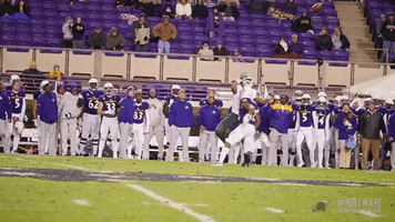 football catch GIF by GreenWave