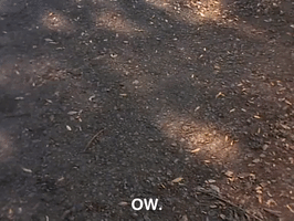 action league nicksplat GIF