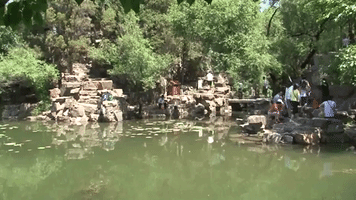 China Gu Zhen GIF