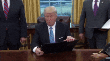 Be Mighty Donald Trump GIF by The Mighty Mug