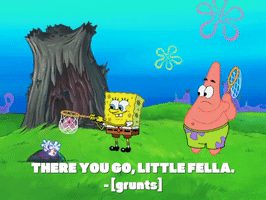 season 8 GIF by SpongeBob SquarePants