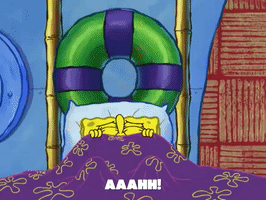 season 6 gullible pants GIF by SpongeBob SquarePants