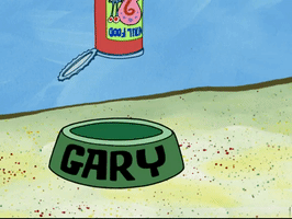 200.gif?cid=fc005b0891a3c8db701f9d999ef1539b3da0f9d95b0e2609&rid=200.gif&ct=g