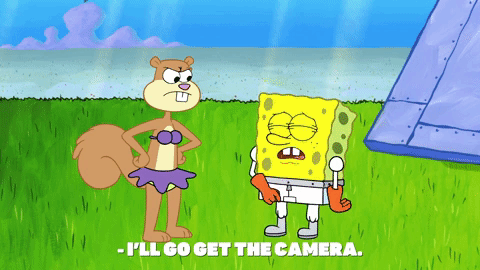 Episode 1 GIF by SpongeBob SquarePants - Find & Share on GIPHY