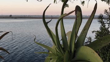 prettyfitfoodie sunset seaworld prettyfitfoodie sondra barker GIF