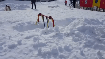 Navalica  GIF
