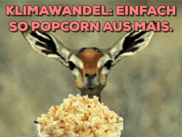 Helllaut popcorn sustainability sustainable climatechange GIF