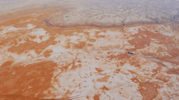 Top Gear Cars GIF by BBC Knowledge Australia