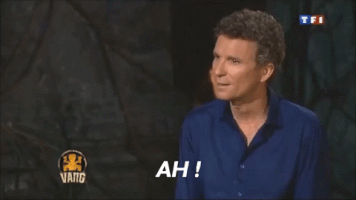 NRG ah denis brogniart GIF