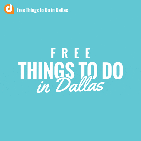 Fun Travel GIF by DontPayFull