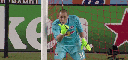 Come Here Major League Soccer GIF by New York Red Bulls