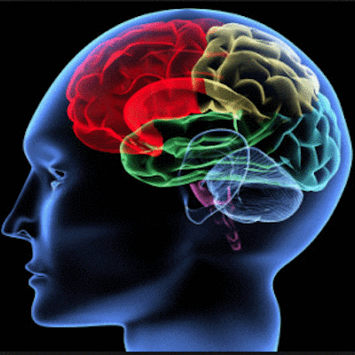 daniela85 #addiction #mind #self #control #awareness #consciousness #psychology #analytical GIF
