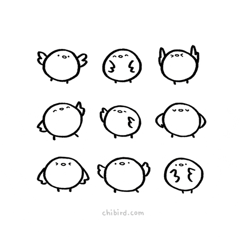 giphy.gif?cid=790b76117c74914e7afa977df8f3e149988f541cbdea4843&rid=giphy.gif&ct=g