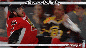 stanley cup playoffs GIF by NHL