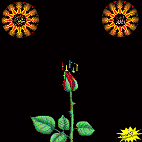 lucky16pk  GIF