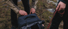 GIF by Andreism Design