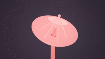 carsonkoo  GIF