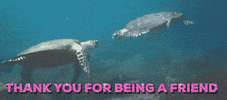 turtles thank you GIF by chuber channel