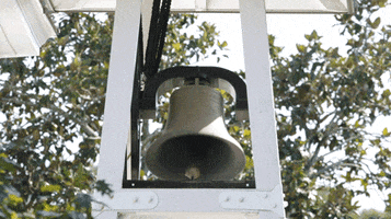 chapel bell uga GIF by University of Georgia