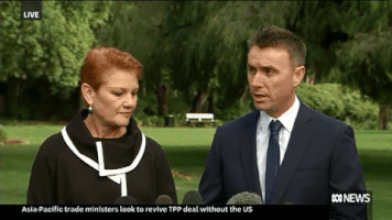 qldaah wtf pauline hanson james ashby GIF