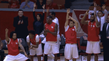 houston GIF by UH Cougars