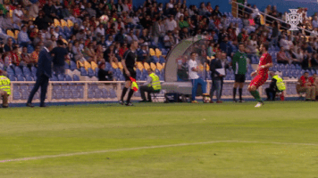 sofiaalmeida8515 soccer portugal fernando santos GIF