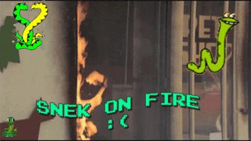 Snake GIF by fiono
