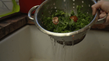 peddle healthy fresh salad yourmarket GIF