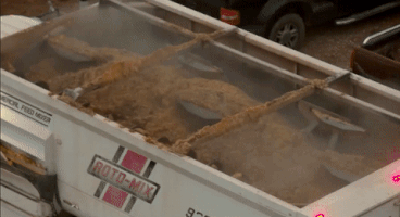 4C_Summit cattletales GIF