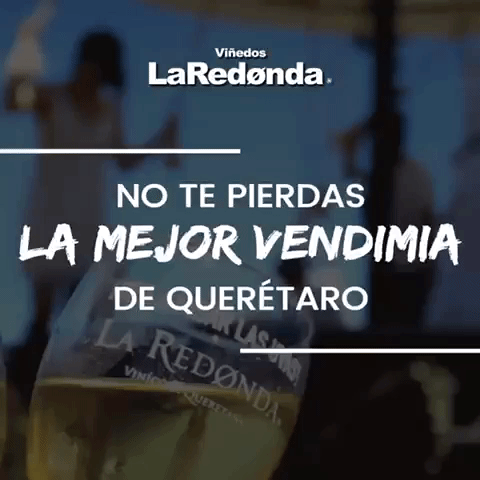 vinoslaredonda  GIF