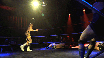 pixelkaiju wrestling prowrestling pwh GIF